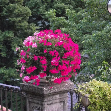 Castiglioni Luxury * Лалльо